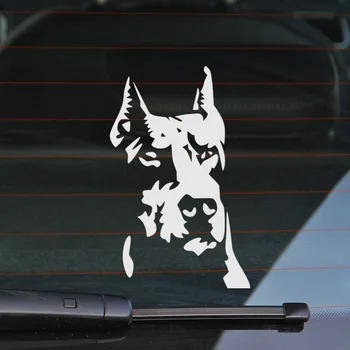 10 штук индивидуальных наклеек Mr Dog, этикета для стайлинга автомобилей vw audi ford bmw Honda Toyota opel Nissan SEAT Renault аксессуары